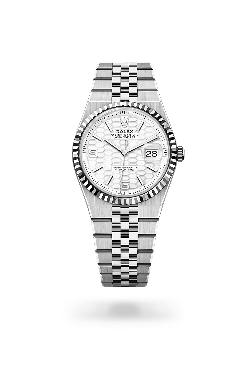 Land-Dweller 36 — Oystersteel and white gold