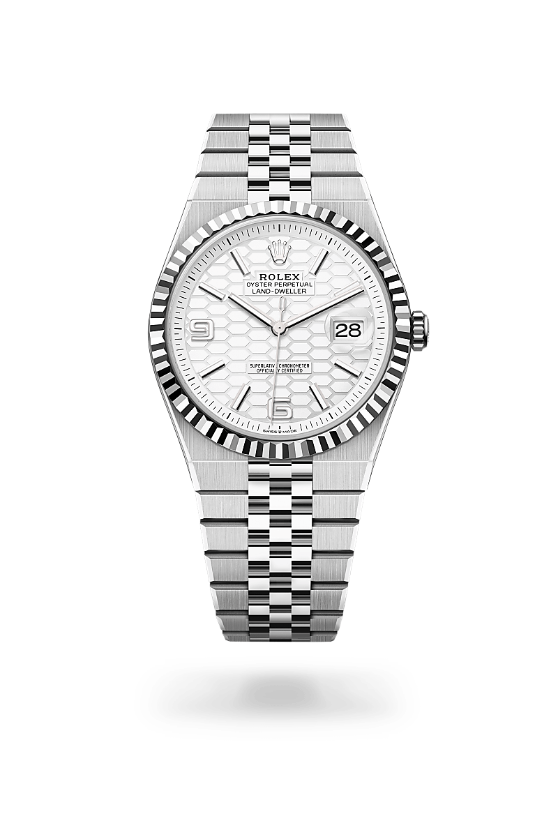 Land-Dweller 40 — Oystersteel and white gold